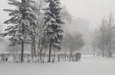 В Перми за ночь высота снежного покрова достигла 78 сантиметров 