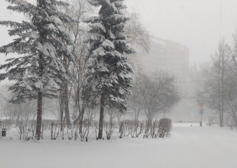 В Перми за ночь высота снежного покрова достигла 78 сантиметров 