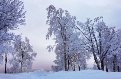 В Прикамье зона экстремального холода сместилась к востоку и центру региона