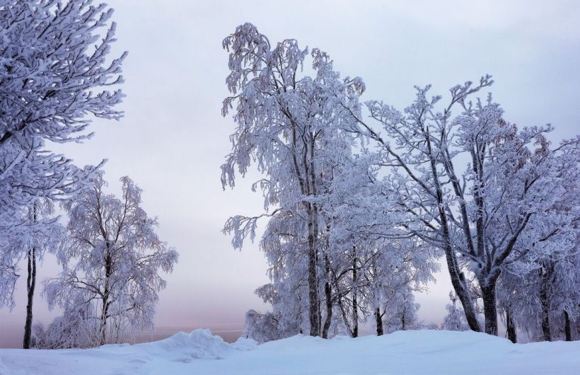 В Прикамье зона экстремального холода сместилась к востоку и центру региона