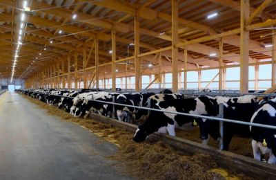 ​Вторую очередь комплекса по производству молока открыли в Зюкайке