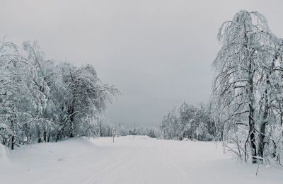 Прошедший в Пермском крае снегопад за сутки превзошел ожидания синоптиков 