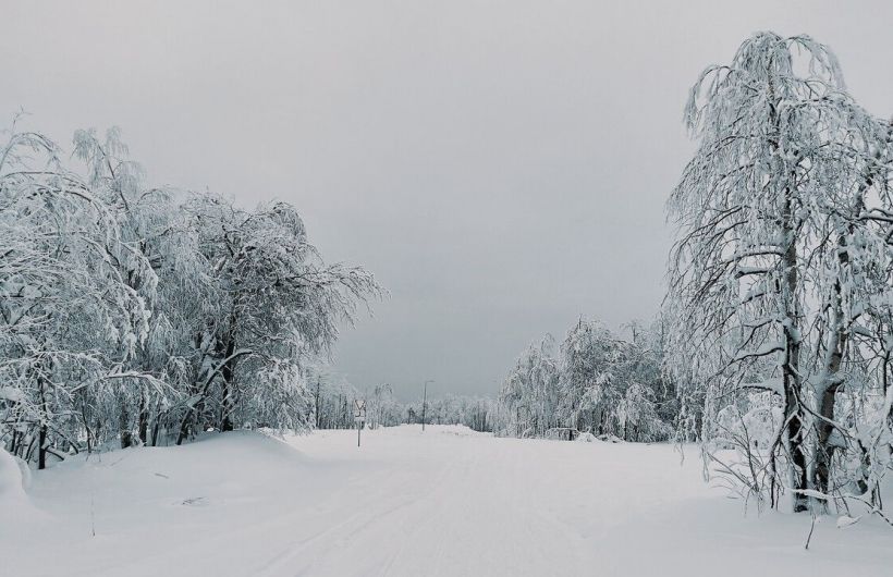 Прошедший в Пермском крае снегопад за сутки превзошел ожидания синоптиков 