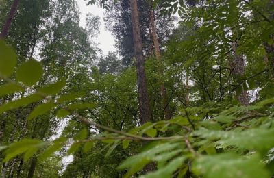 ​В Пермском крае может появиться новая особо охраняемая природная территория