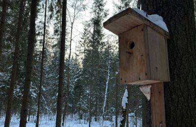 ​Аномальное потепление пришло в Прикамье