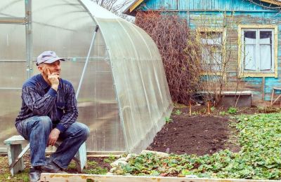 Как в Прикамье зарегистрировать хозпостройки и блокированные дома по дачной амнистии