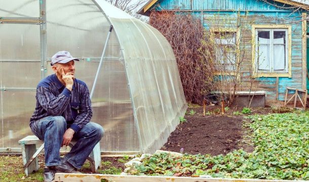 Как в Прикамье зарегистрировать хозпостройки и блокированные дома по дачной амнистии