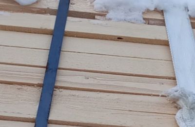 ​В Пермском крае компанию оштрафовали за нарушение правил хранения зараженных хвойных пиломатериалов