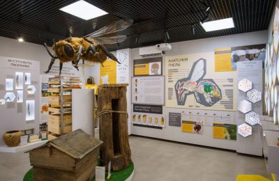 О чем расскажут в музее меда и что покажут в кунгурском ТЮЗе