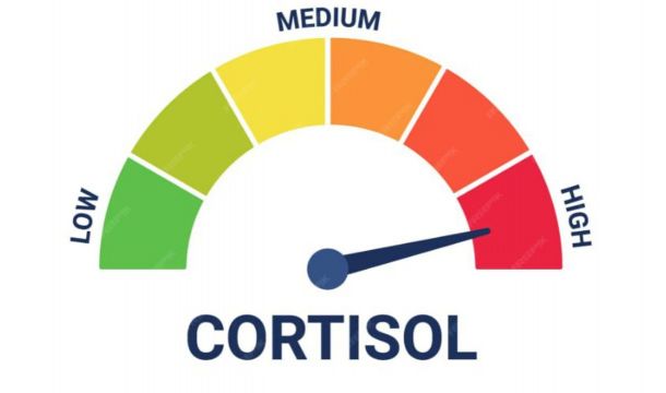 Что надо знать о кортизоле и его действии на человека