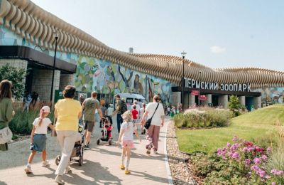 ​Пермский зоопарк получил главную награду страны как лучший новый парк
