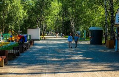 ​Сад имени Миндовского в Перми готовится к масштабному обновлению