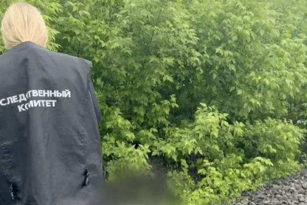​В Пермском крае следователи выясняют обстоятельства гибели мужчины под колесами поезда