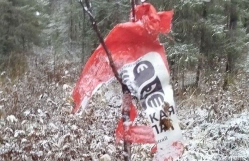 Медведь повредил опознавательный знак на Пермской тропе