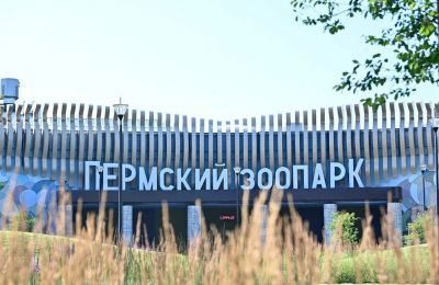 Пермский зоопарк готовится к смене руководства