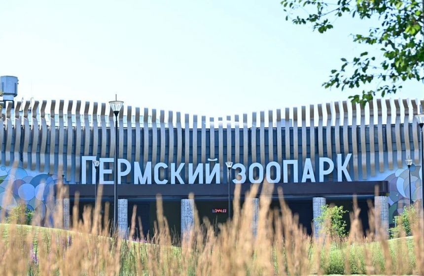 Пермский зоопарк готовится к смене руководства