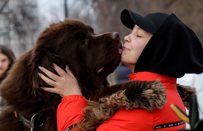 Ментал-коуч для Тузика: кто такой зоопсихолог и кому и как он помогает