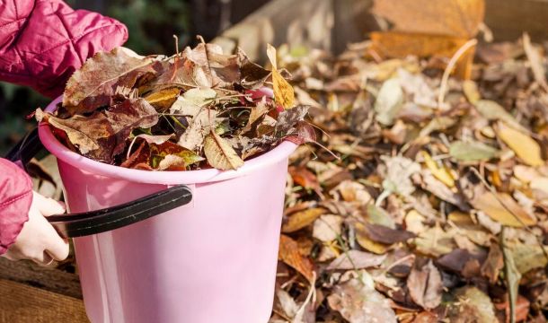 ​Советы: чем можно заняться на огороде в ноябре