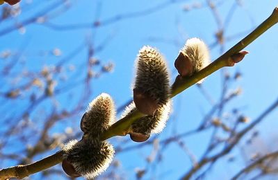 ​Погода в Пермском крае на неделе останется прохладной