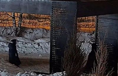 ​В Чусовом родителей подростков обязали возместить ущерб за порчу городского имущества