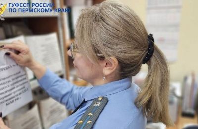 Штрафы и снос: пермяков заставили убрать забор в водоохранной зоне