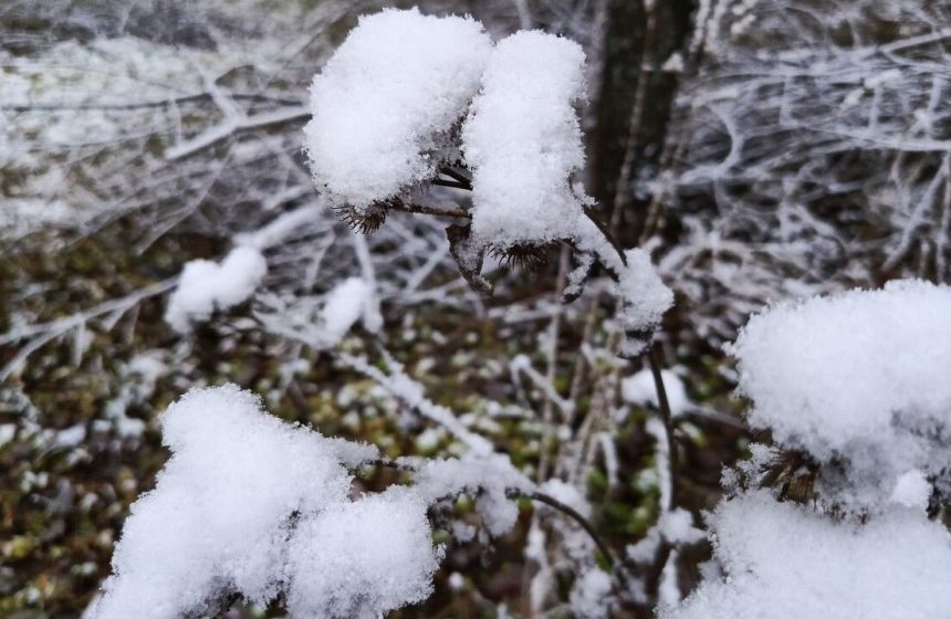 В Пермском крае 29 марта ожидаются туман и гололедица