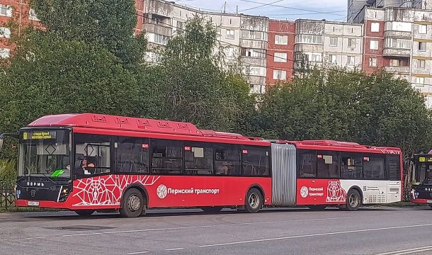 Пермь оказалась в тройке лидеров по количеству автобусов особо большого класса