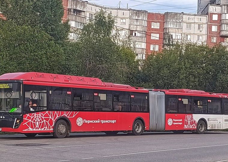 Пермь оказалась в тройке лидеров по количеству автобусов особо большого класса