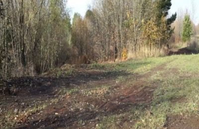 В Ординском округе устранили свалку площадью более 2,4 тысячи квадратных метров