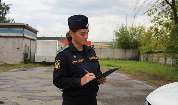 ​В Перми кронировали 17 опасных деревьев в садовом товариществе