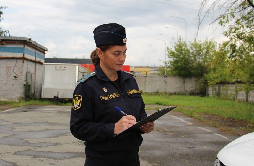 ​В Перми кронировали 17 опасных деревьев в садовом товариществе
