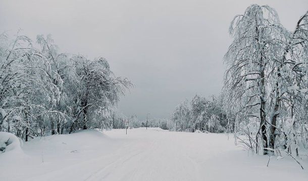 73 сантиметров достигла высота снежного покрова в Перми после ночного снегопада 