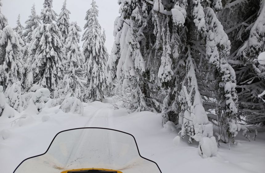 Пермь установила зимний рекорд по осадкам