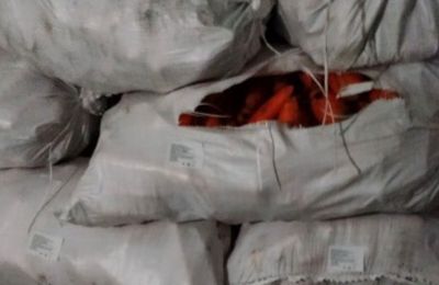 ​В Пермский край впервые за год завезли крупную партию моркови из Киргизии