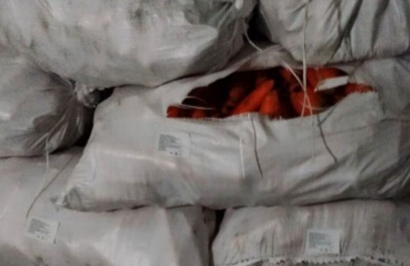 ​В Пермский край впервые за год завезли крупную партию моркови из Киргизии