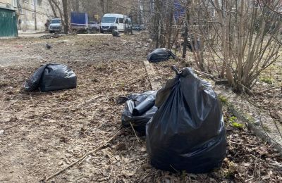 ​В Перми пройдет общегородской субботник