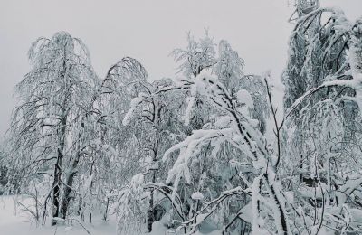​В Перми февраль 2026 года установил абсолютный рекорд по осадкам за 140 лет наблюдений