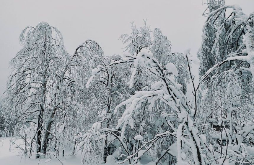 ​В Перми февраль 2026 года установил абсолютный рекорд по осадкам за 140 лет наблюдений
