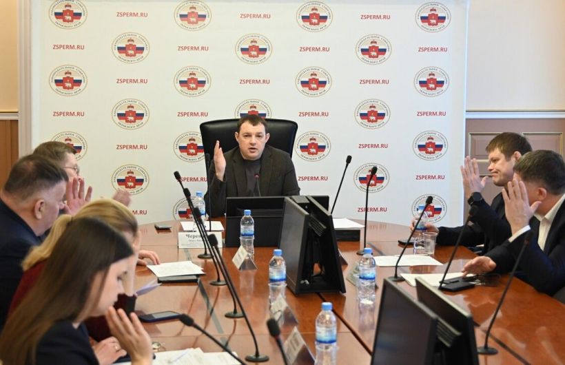 В Прикамье самозанятым таксистам разрешат ездить на иномарках