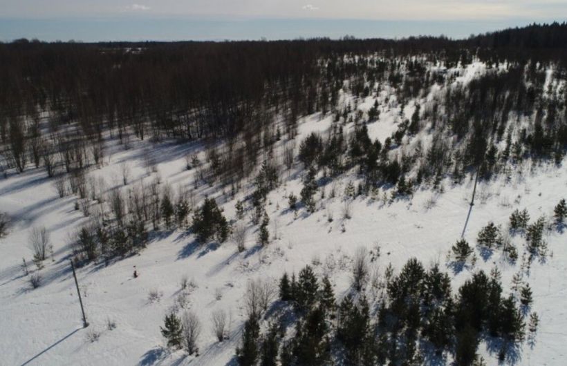 ​В Кунгурском округе с помощью дронов выявили зарастание сельхозземель на площади более 90 гектаров