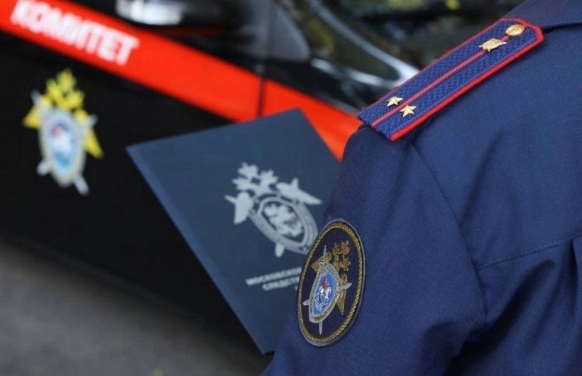 ​В Лысьве на пожилую женщину напала собака