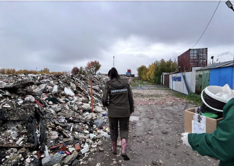 ​«Вредные вещества из отходов попадают к нам на стол»: строительные свалки площадью более 12 тысяч квадратных метров обнаружили в Перми