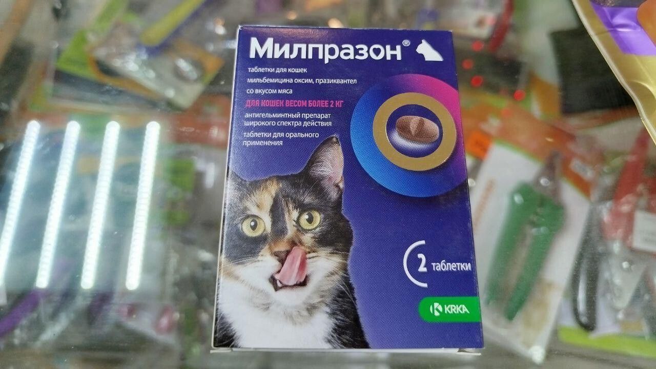 В Перми предпринимателя оштрафовали за продажу ветпрепаратов без лицензии