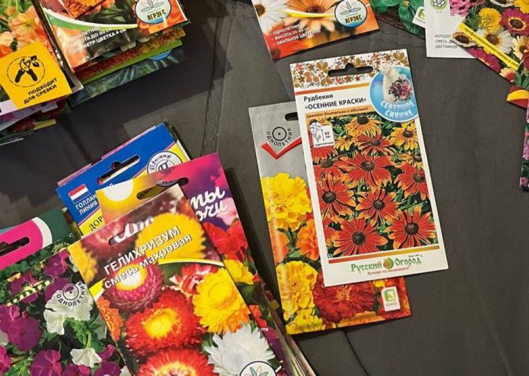 Чем заняться садоводу в огороде и дома в первый месяц весны