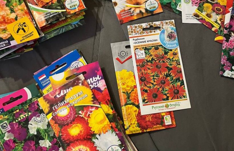 Чем заняться садоводу в огороде и дома в первый месяц весны