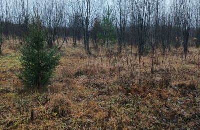 ​В Чусовском округе у собственника изъяли 9 гектаров сельхозземли