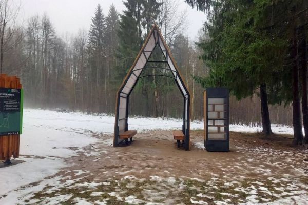 ​В городских лесах Перми отремонтировали 12 мест отдыха