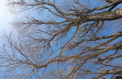 ​Постепенное потепление после волны холода и осадков ожидается в Пермском крае