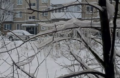 В Прикамье на неделе ожидается морозная погода 