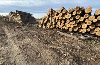 Юридическое лицо оштрафовали за захламление сельхозугодий в Чусовом